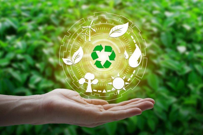 O que é e como funciona a consultoria ambiental empresas?